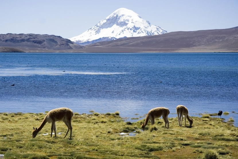 Lauca National Park