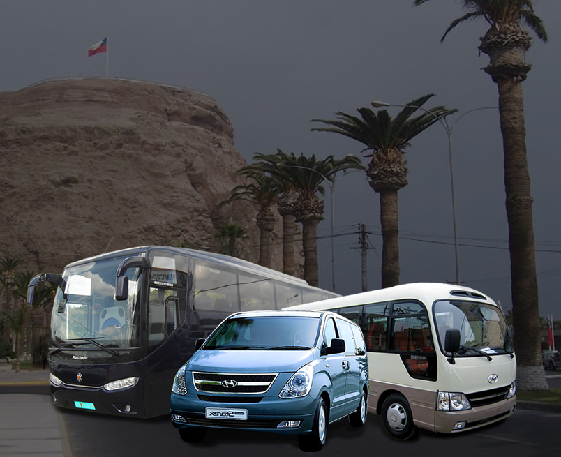 Transfer from Arica